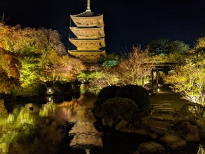 秋の京都旅④～京都鉄道博物館→伏見稲荷→京都タワー→東寺ライトアップの巻