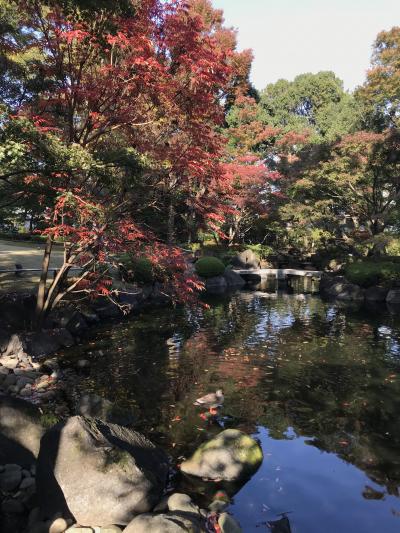 午後から荻窪へ、大田黒公園の紅葉を一年前の備忘録編