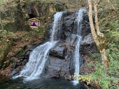 下呂温泉～宇津江四十八滝　結婚記念日のプレゼント_No.3