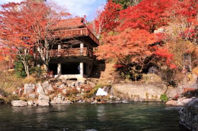 錦繍の紅葉を追いかけて♪　大井平公園の紅葉♪