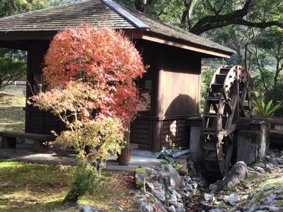 吾平自然公園を散策してみます