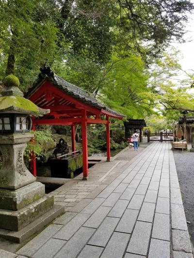 yu-mizお出かけ:2020年9月☆青葉が眩しい石山寺へ