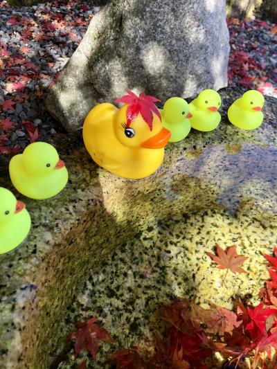 yu-mizお出かけ:2020年11月☆京都・滋賀の県境から紅葉がまぶしい比叡山延暦寺へ