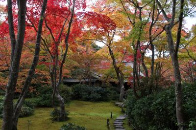 ２０２０秋の京都１泊２日★７　大河内山荘庭園で紅葉を満喫