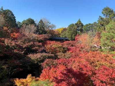 2020年11月　京都に紅葉を見に行く旅　1日目