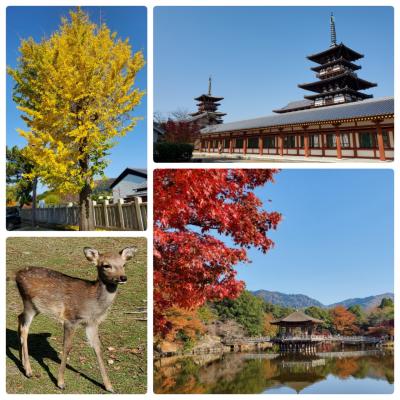 静かな古都の秋～奈良～を楽しむ