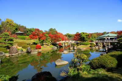 大仙公園内の日本庭園　