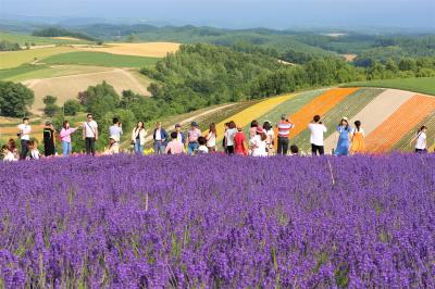 2019夏　美瑛・富良野　丘と花畑の絶景　前編