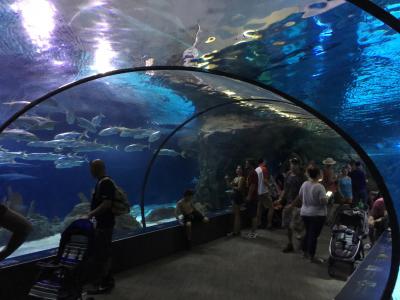 ネブラスカ州 オマハ(静岡市の姉妹都市) ヘンリードーリー動物園　ー　アクエリアム