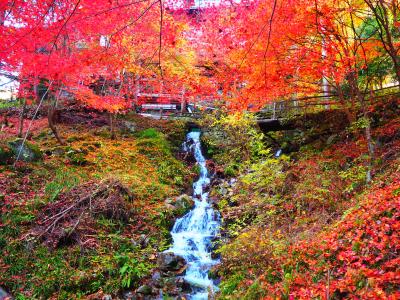 ゲロゲロｯ!! 下呂温泉で紅葉狩り★娘から母への親孝行旅♪