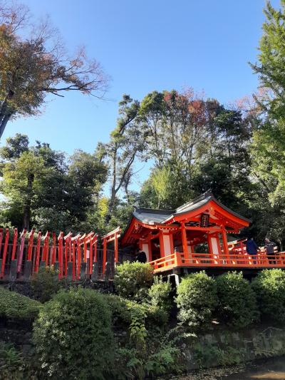 谷中七福神　根津神社　紅葉　1/2