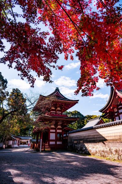 耶馬溪 中津 玖珠 紅葉 に関する旅行記 ブログ フォートラベル 大分県 耶馬溪 中津 玖珠 紅葉 に関する旅行記 ブログ フォートラベル 大分県