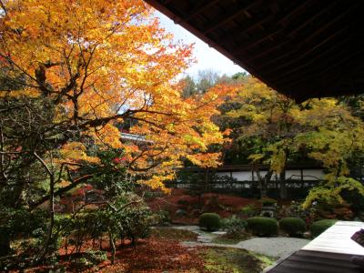 2020年 京都へ紅葉を見に気ままにぶらり旅