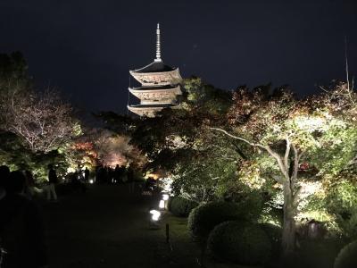 京都東寺の夜景と地元民さえ知らない極秘ライトアップ♬