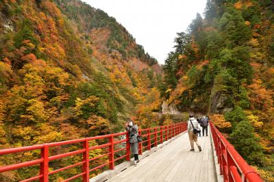 宇奈月 黒部峡谷 紅葉 に関する旅行記 ブログ フォートラベル 富山県