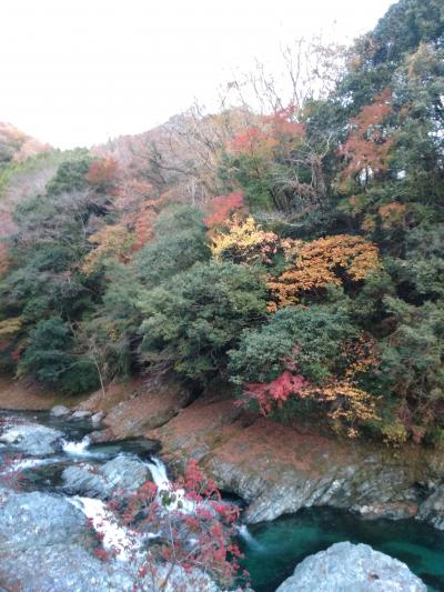 秋を探しに…三連休初日は丹沢湖・三保ダムの紅葉・温泉・お蕎麦も★（2020年11月）