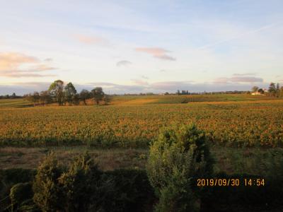 ブルゴーニュ・アルザスのワイン旅 : 憧れのオーベルジュで過ごす