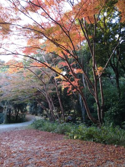 伊賀の旅①忍者★NIPPONIA HOTEL 伊賀上野に泊まる