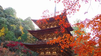 湖東三山（西明寺）の紅葉と金剛苑