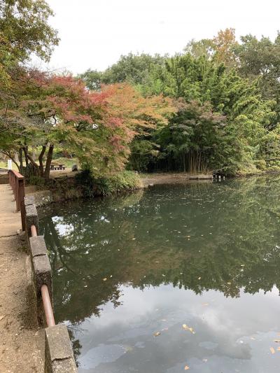 渋沢丘陵ウオーキング