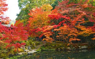 錦秋の京都：　南禅寺・天授庵、永観堂、神護寺、二尊院など紅葉見頃の７寺院を巡った日帰り旅