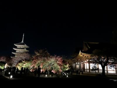 東寺2020秋期特別公開～紅葉ライトアップ