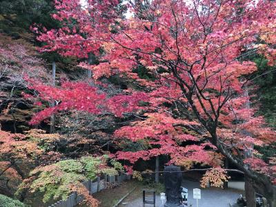 Go To 京都 14 東福寺 泉涌寺 今熊野観音寺 大黒ラーメン