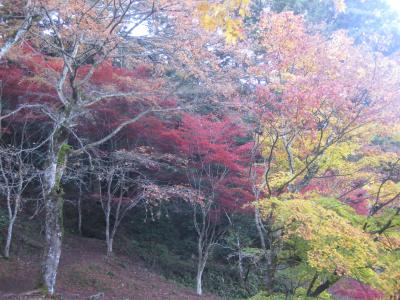 秋旅２０２０・丹波の古刹高源寺～福知山城