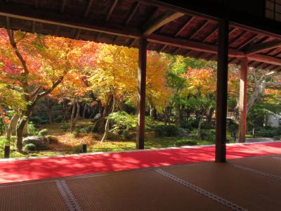 2020.11.18　水　No2 　左京区 圓光寺　天皇陵墓