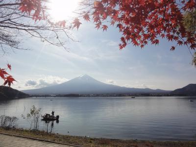 2020.11.富士五湖絶景周遊バスツアー