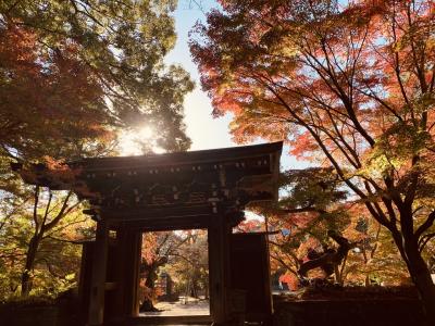 紅葉が見頃な東漸寺・本土寺