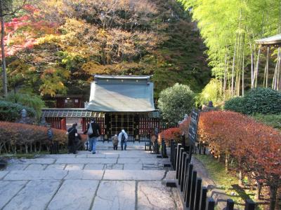 瑞鳳殿、仙台城跡、大崎八幡宮を巡る(仙台市内)