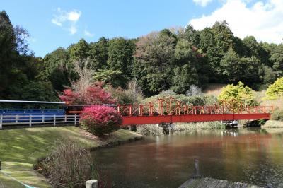 秋の伊豆旅♪　Vol.22　☆修善寺虹の郷：秋の美しいカナダ村♪