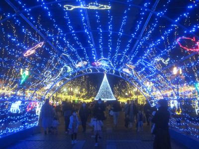 早いものでもうこんな季節になりました 百草園＆高幡不動の紅葉と多摩センターのイルミネーション