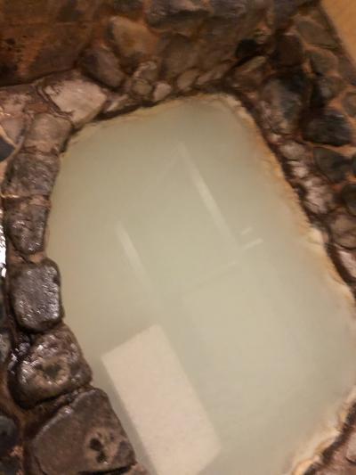 箱根の濁り湯を堪能する旅