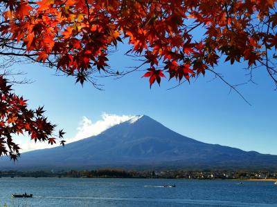 富士山マラソン2020 ハーフラン＠河口湖一周＋α