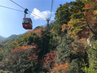 紅葉の名所御在所岳からアートの島、佐久島へ【1】久しぶりの家族旅行！湯の山温泉編/三重県