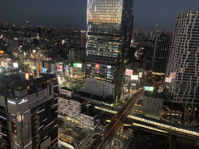 上空から聖地巡礼。セルリアンタワー東急