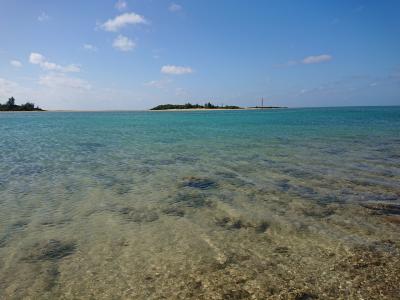 宮古島で隠る(with corona)