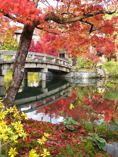 団塊夫婦の2020年日本紅葉巡りドライブー（京都３）二度目もすばらしかった永観堂へ