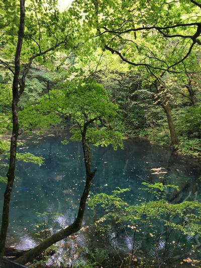 2017秋　秋田青森リゾート白神の旅