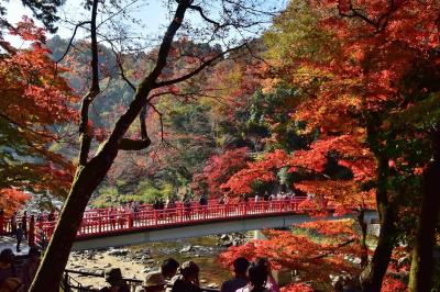 2020紅葉　東海一の紅葉の名所～足助町・香嵐渓（10）