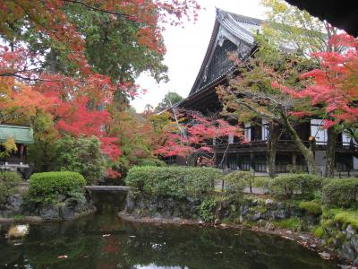 森見登美彦の世界にひたる旅2日目～六角堂と真如堂