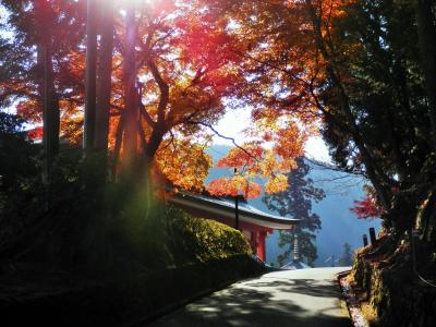 比叡山紅葉祭りへ 2020