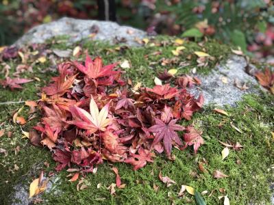 2泊3日！京都で紅葉狩り♪(3日目)