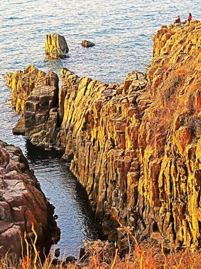 福井県-3 坂井市a 東尋坊 輝石安山岩/柱状節理- 岩壁延々 ☆越前