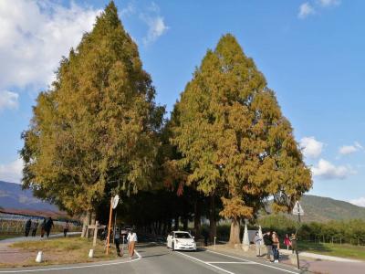 舞鶴・若狭プチ旅行　１泊２日