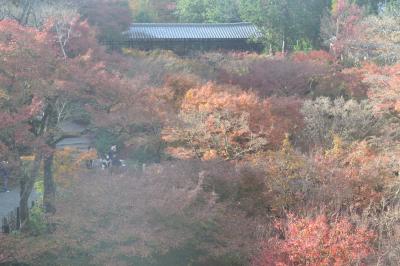 今年の京都の紅葉（その１）東福寺・南禅寺・永観堂・高台寺・清水寺