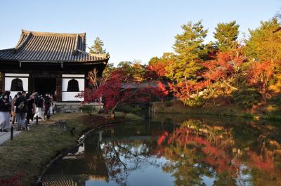 秋の京都2020（1）～高台寺界隈～