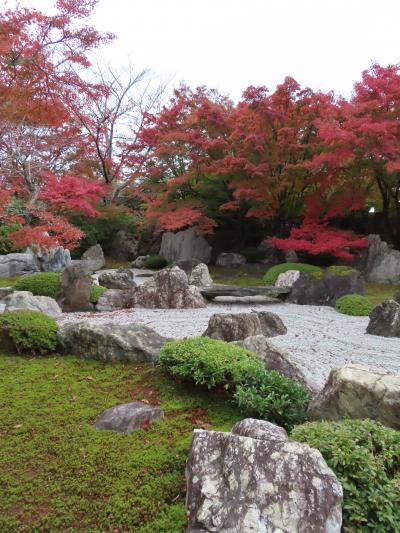 古都の紅葉（９）　☆　青いお不動様と将軍塚のモミジ